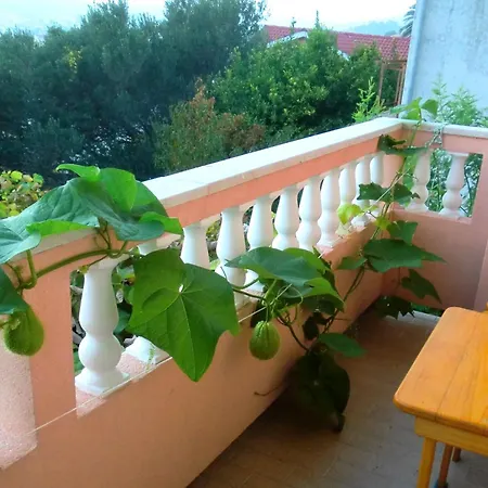 House Lydia Apartment